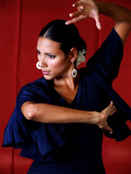 flamenco